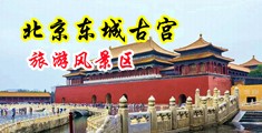 国产性感美女自慰中国北京-东城古宫旅游风景区